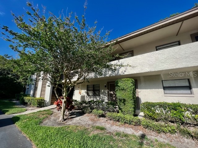 3036 Eastland Boulevard #E103 Clearwater FL 33761 W7865289 image1
