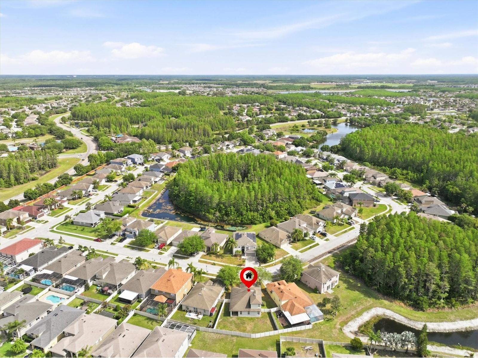 3036 Gianna Way Land O Lakes FL 34638 TB8496738 image2