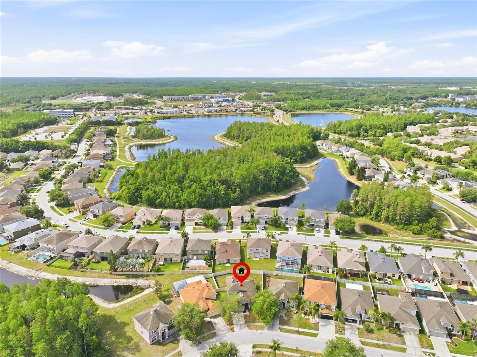 3036 Gianna Way Land O Lakes FL 34638 TB8496738 image34