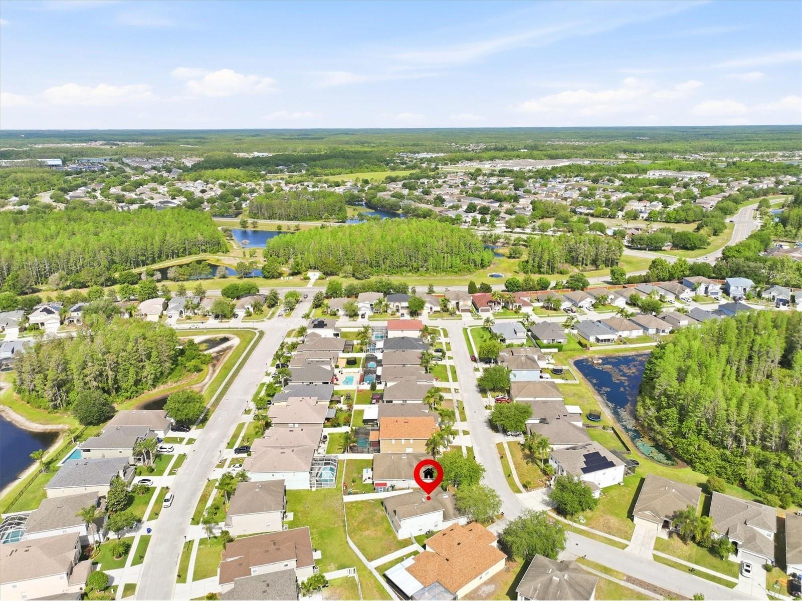 3036 Gianna Way Land O Lakes FL 34638 TB8496738 image37