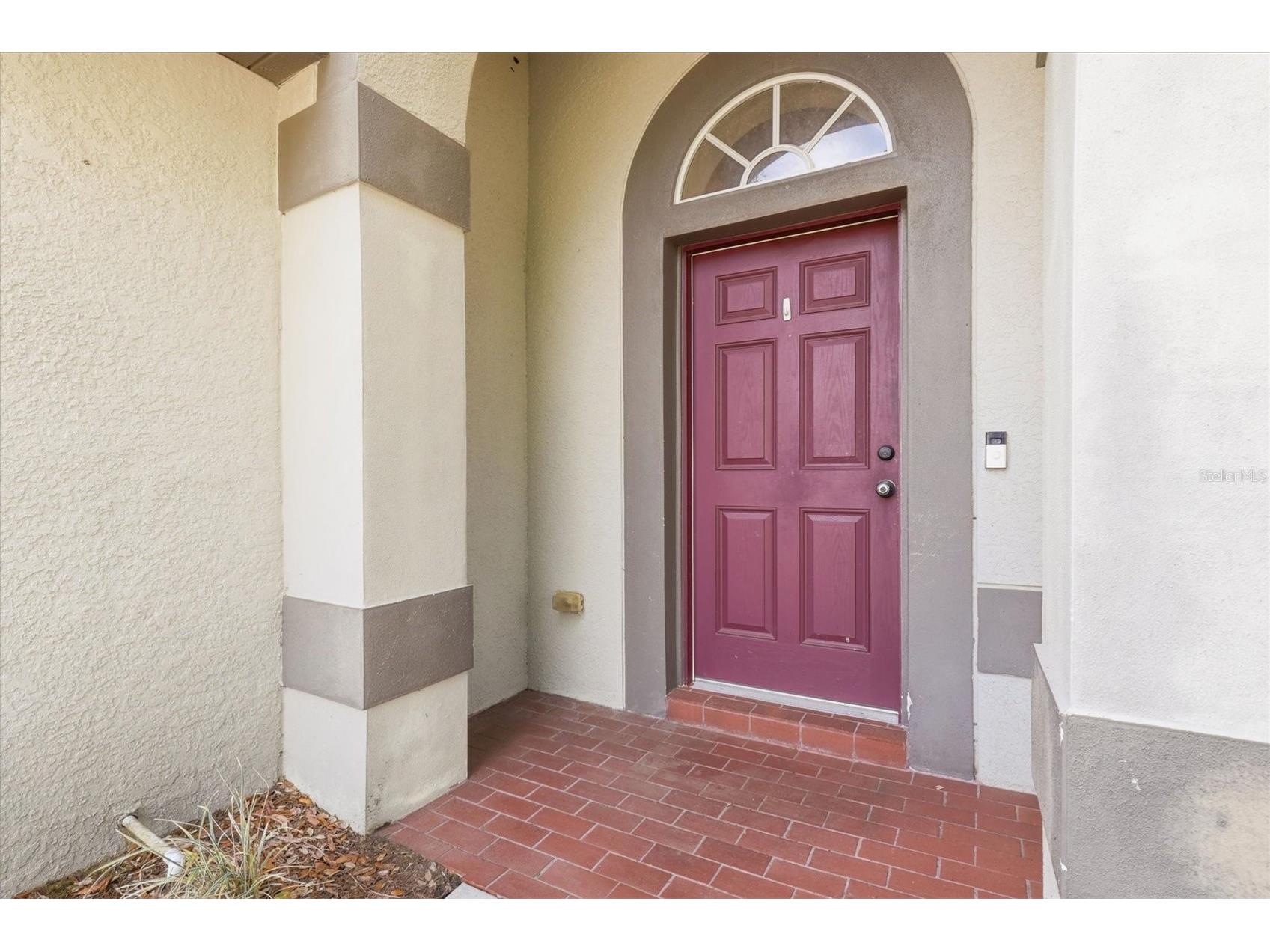 3036 Gianna Way Land O Lakes FL 34638 TB8496738 image4