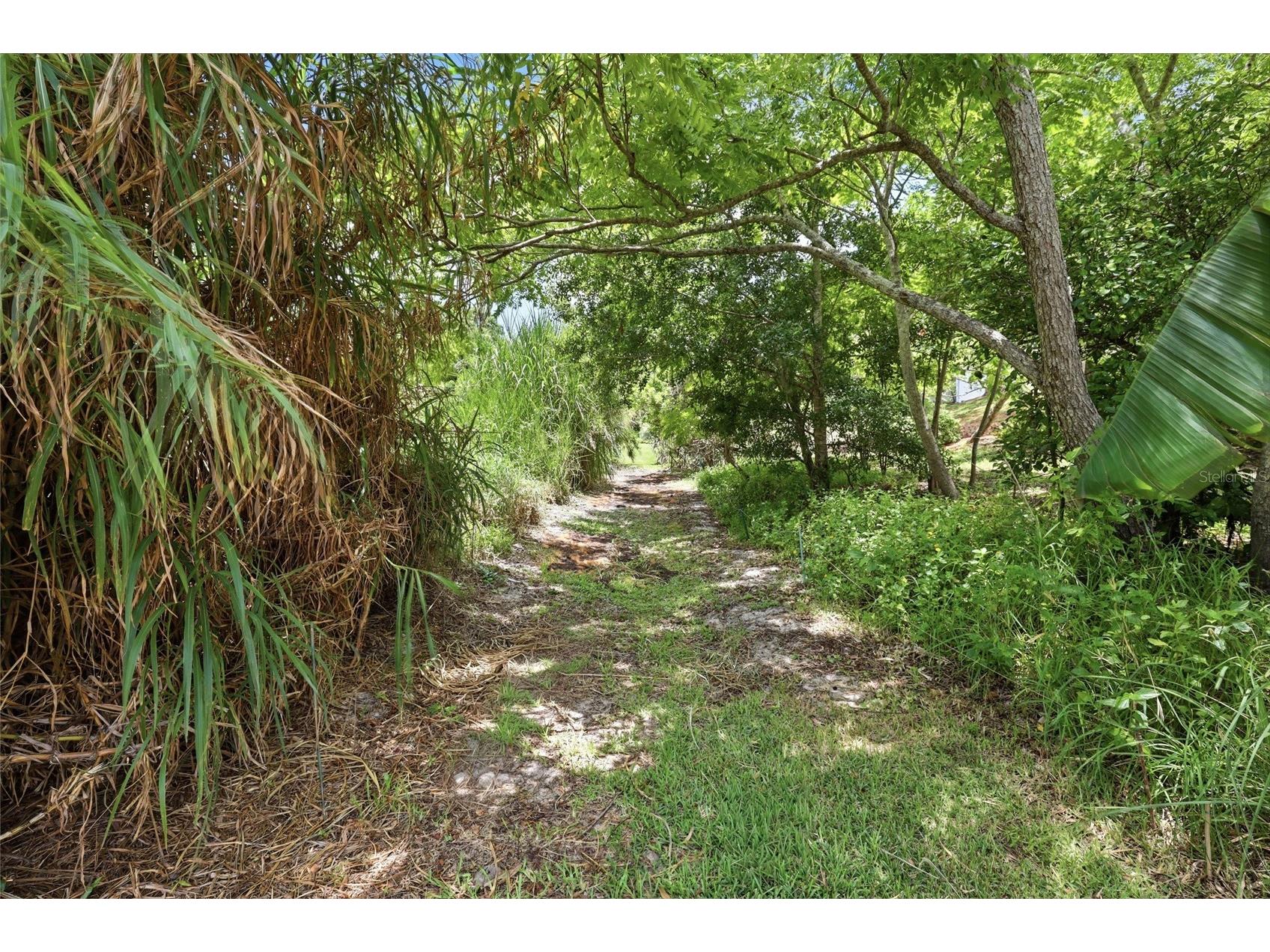 3036 Hyde Park Street Sarasota FL 34239 A4695472 image46