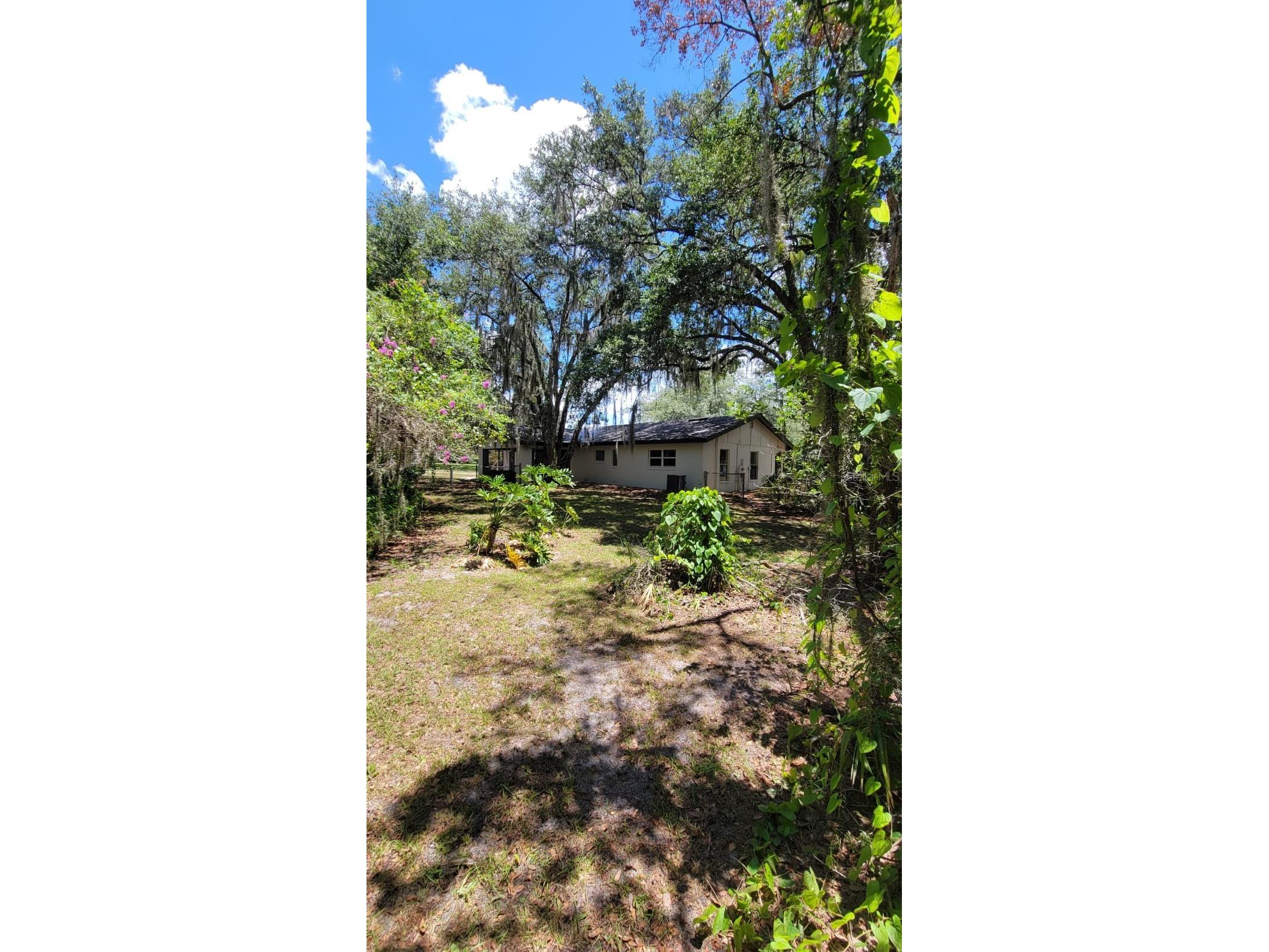 3036 Lowery Drive Oviedo FL 32765 O6423412 image10
