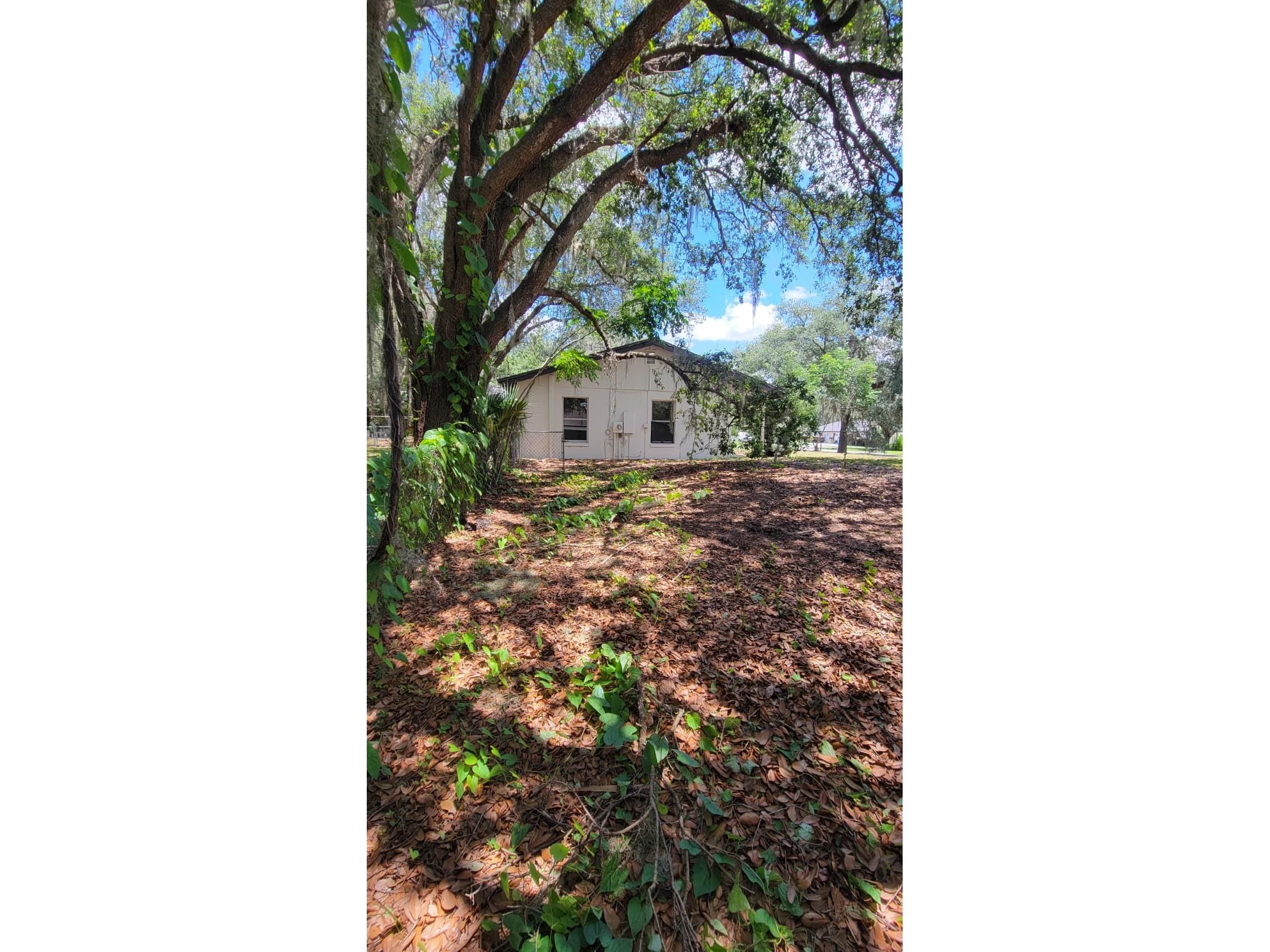 3036 Lowery Drive Oviedo FL 32765 O6423412 image7