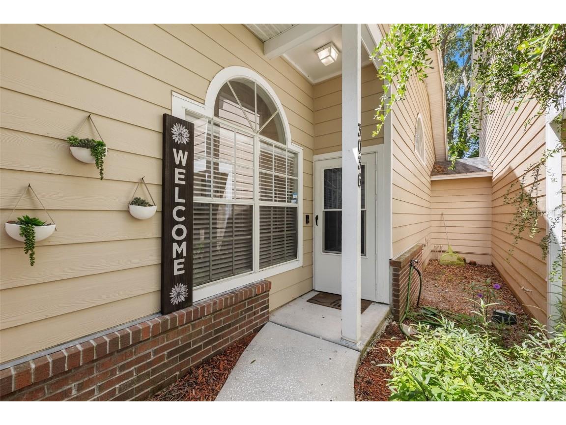 3036 Pointer Drive Palm Harbor FL 34683 U8213547 image1