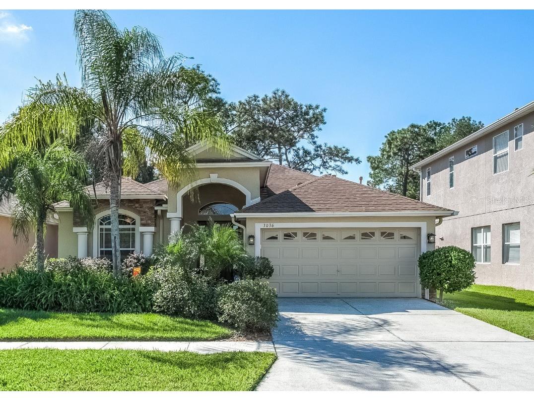 3036 Silvermill Loop Land O Lakes FL 34638 T3334710 image1