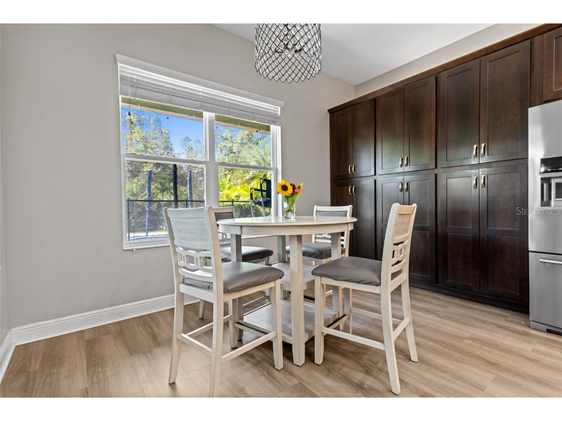 30362 Ceasar Park Drive Wesley Chapel FL 33543 TB8441458 image15