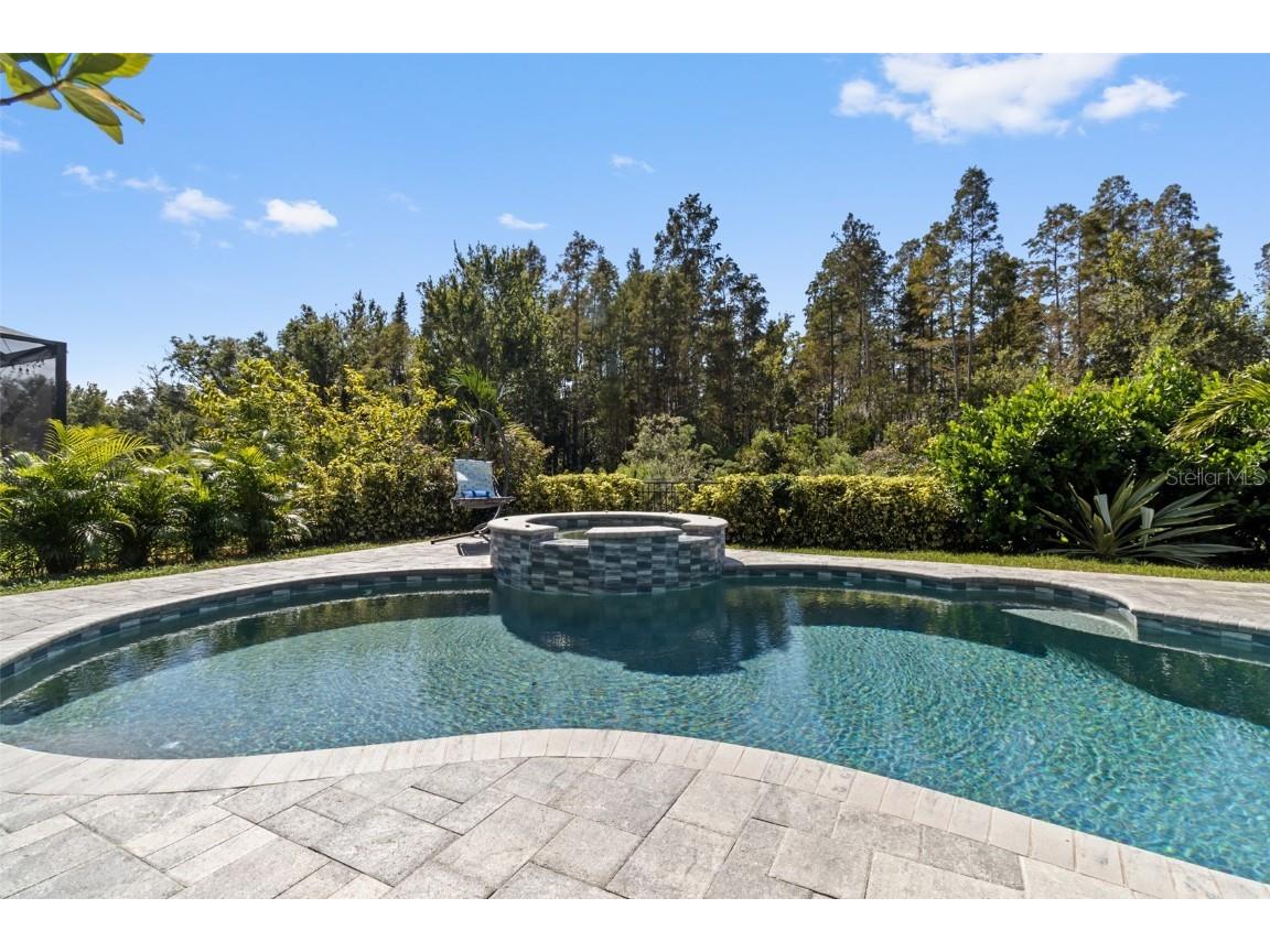 30362 Ceasar Park Drive Wesley Chapel FL 33543 TB8441458 image4