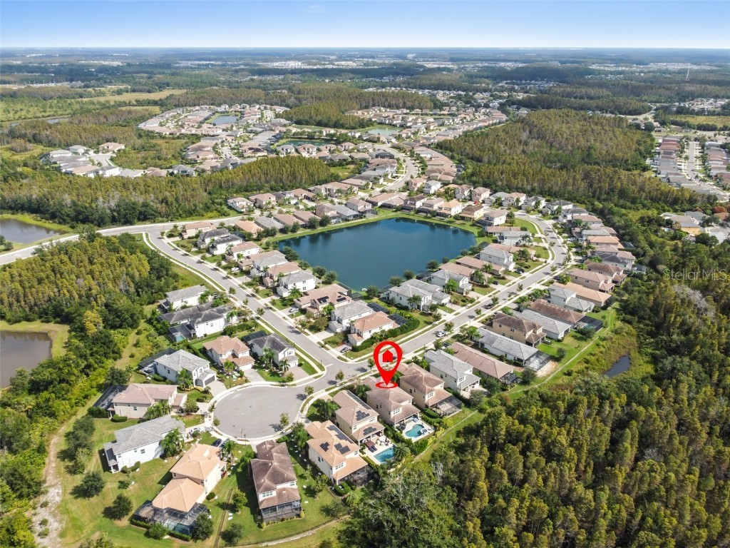 30362 Ceasar Park Drive Wesley Chapel FL 33543 TB8441458 image44