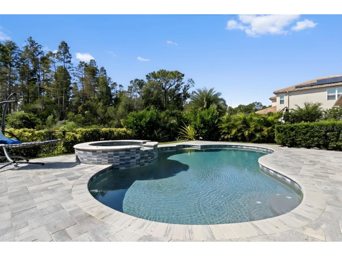 30362 Ceasar Park Drive Wesley Chapel FL 33543 TB8441458 image5