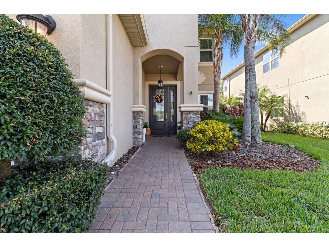 30362 Ceasar Park Drive Wesley Chapel FL 33543 TB8441458 image7