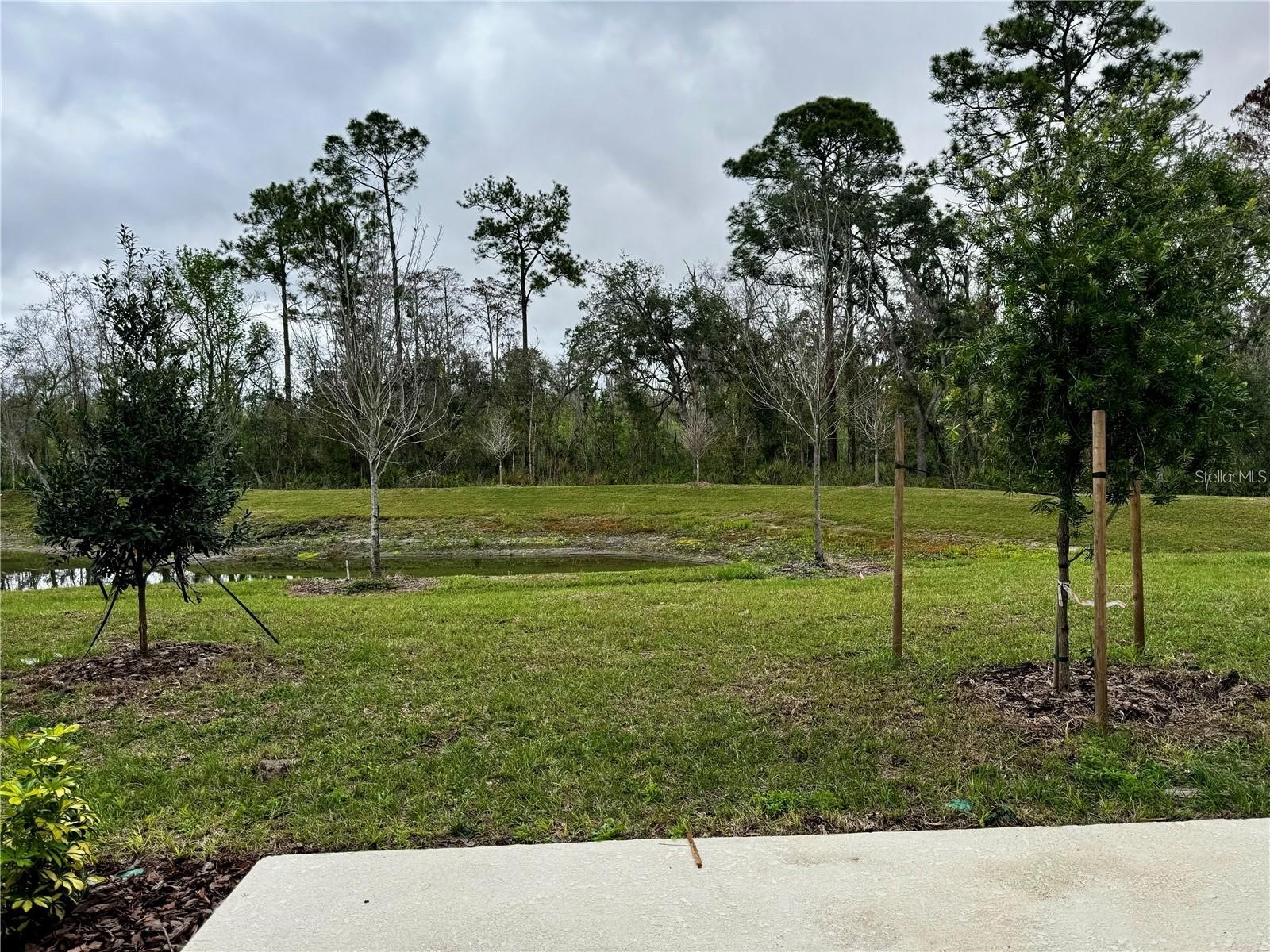 3037 Canary Avenue Davenport FL 33837 O6411954 image26