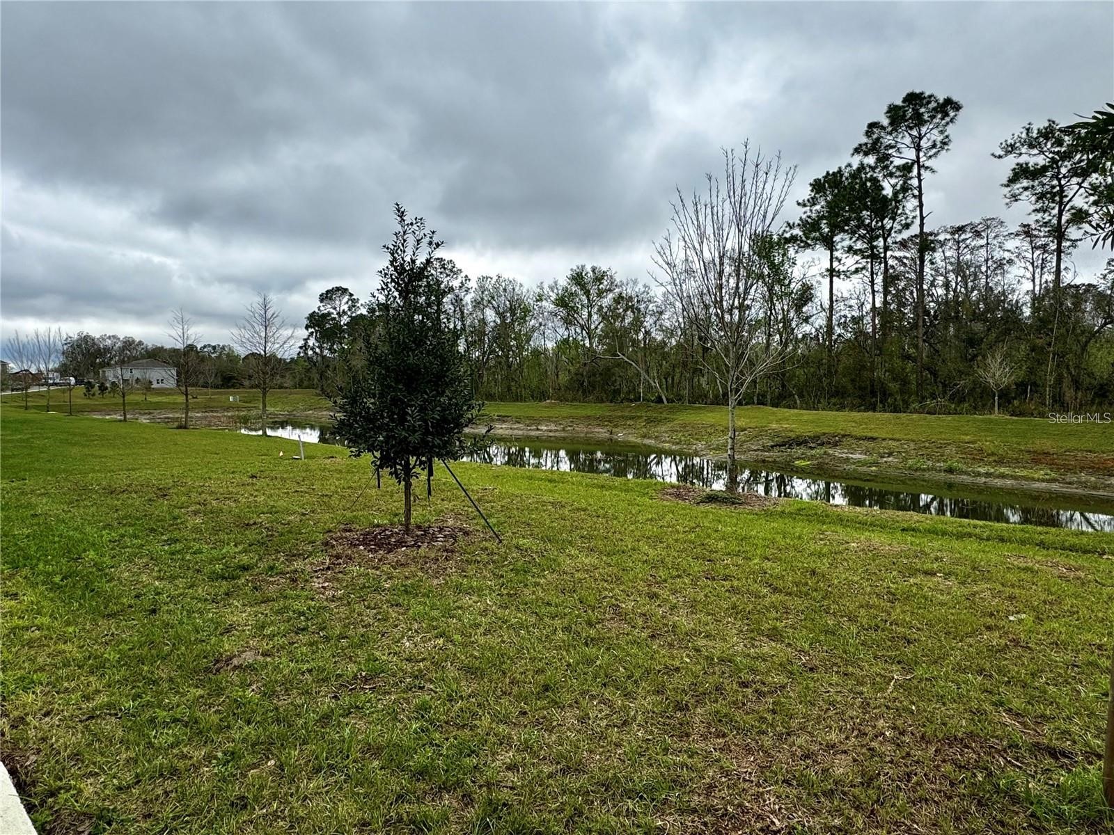 3037 Canary Avenue Davenport FL 33837 O6411954 image27