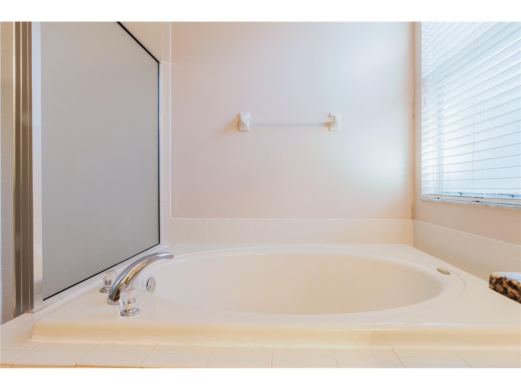3037 Downan Point Drive Land O Lakes FL 34638 TB8490089 image16