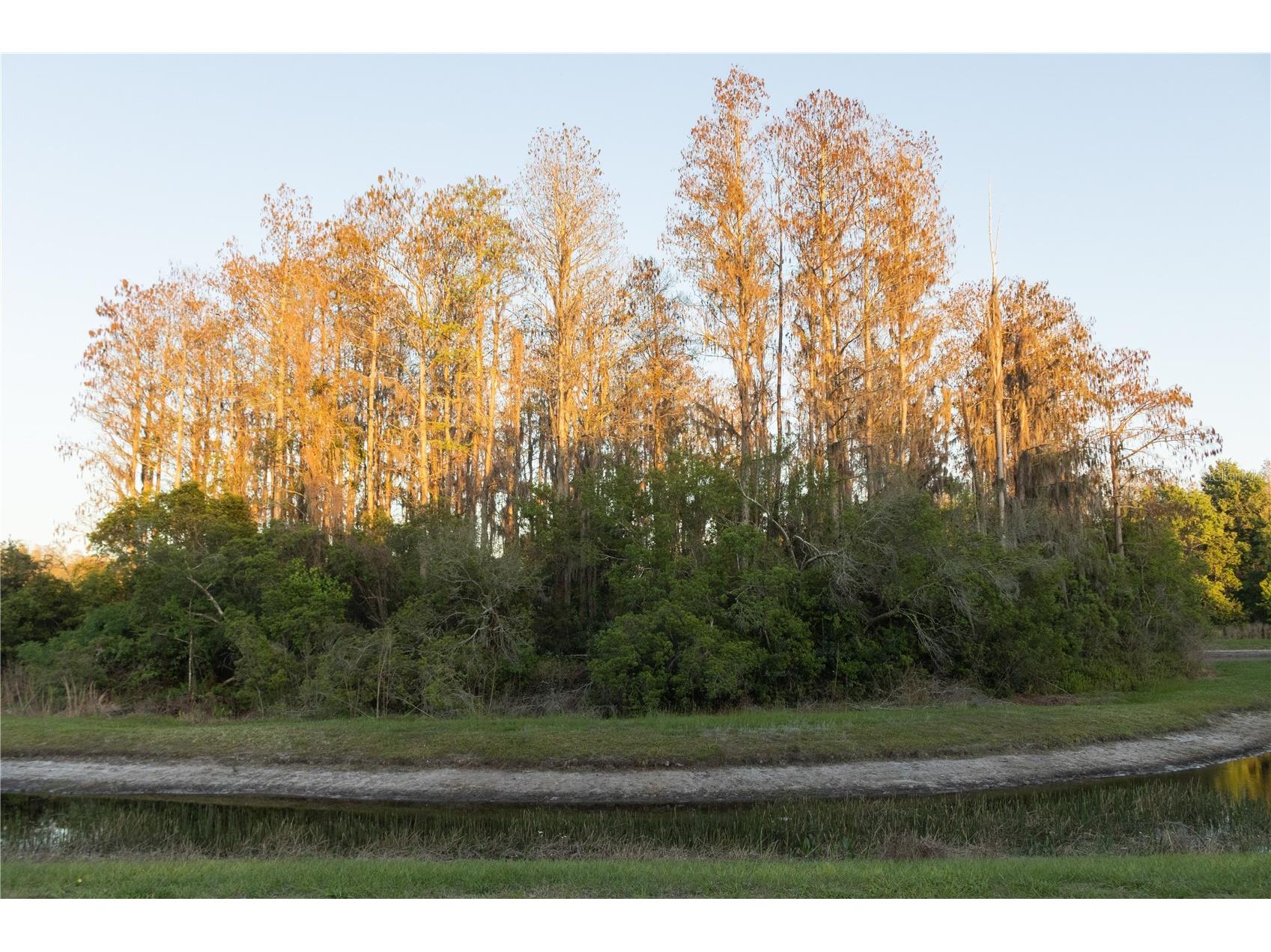 3037 Downan Point Drive Land O Lakes FL 34638 TB8490089 image25