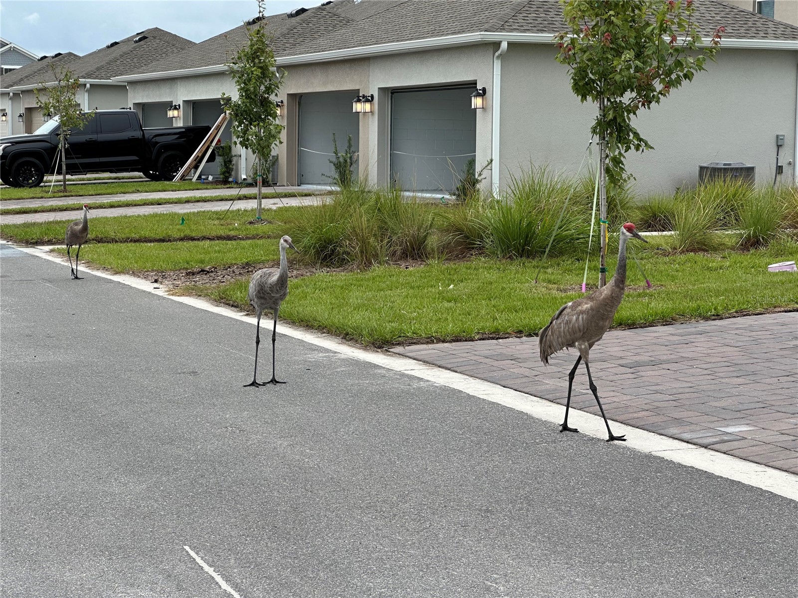 3037 Ella Way Saint Cloud FL 34771 O6383352 image6