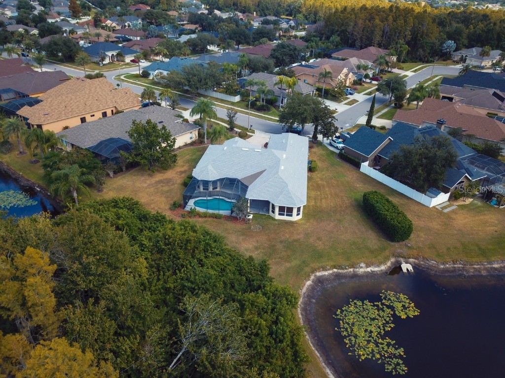 3037 Lynwood Court Land O Lakes FL 34638 TB8433002 image34