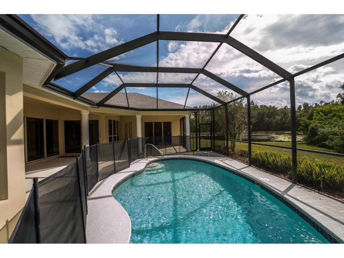 3037 Lynwood Court Land O Lakes FL 34638 TB8433002 image35