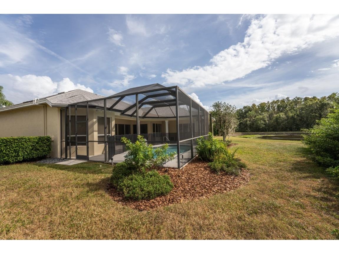 3037 Lynwood Court Land O Lakes FL 34638 TB8433002 image37