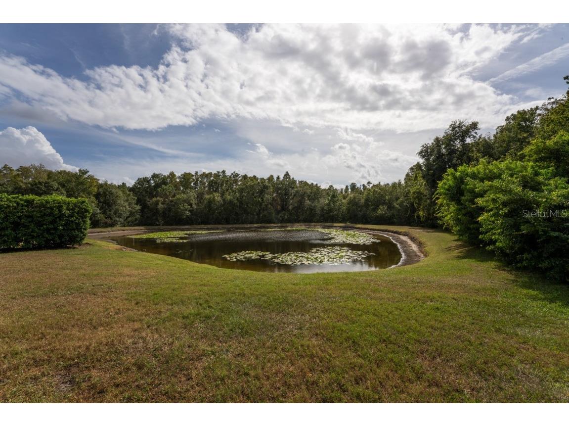3037 Lynwood Court Land O Lakes FL 34638 TB8433002 image38