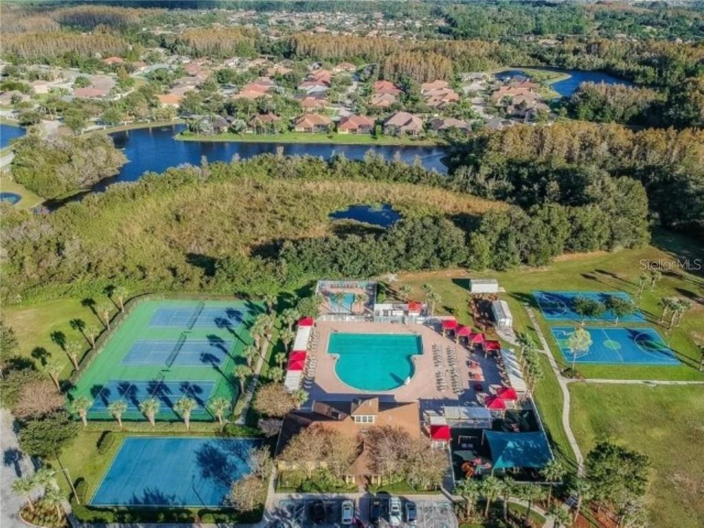 3037 Lynwood Court Land O Lakes FL 34638 TB8433002 image39