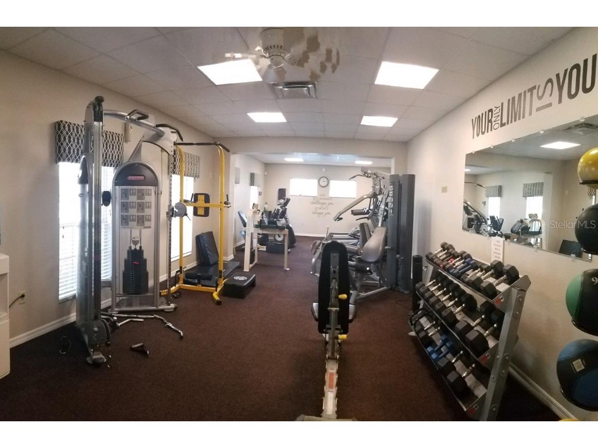 3037 Lynwood Court Land O Lakes FL 34638 TB8433002 image42