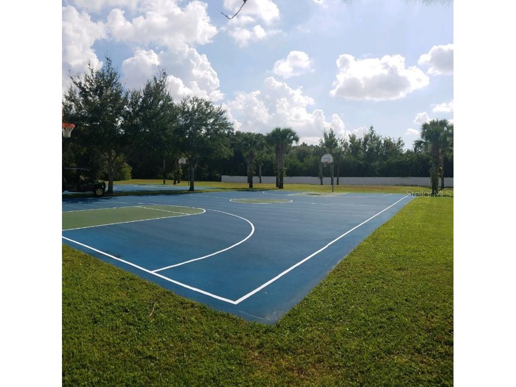 3037 Lynwood Court Land O Lakes FL 34638 TB8433002 image48