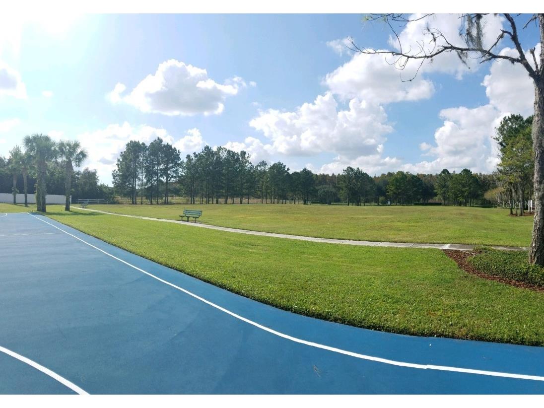 3037 Lynwood Court Land O Lakes FL 34638 TB8433002 image49