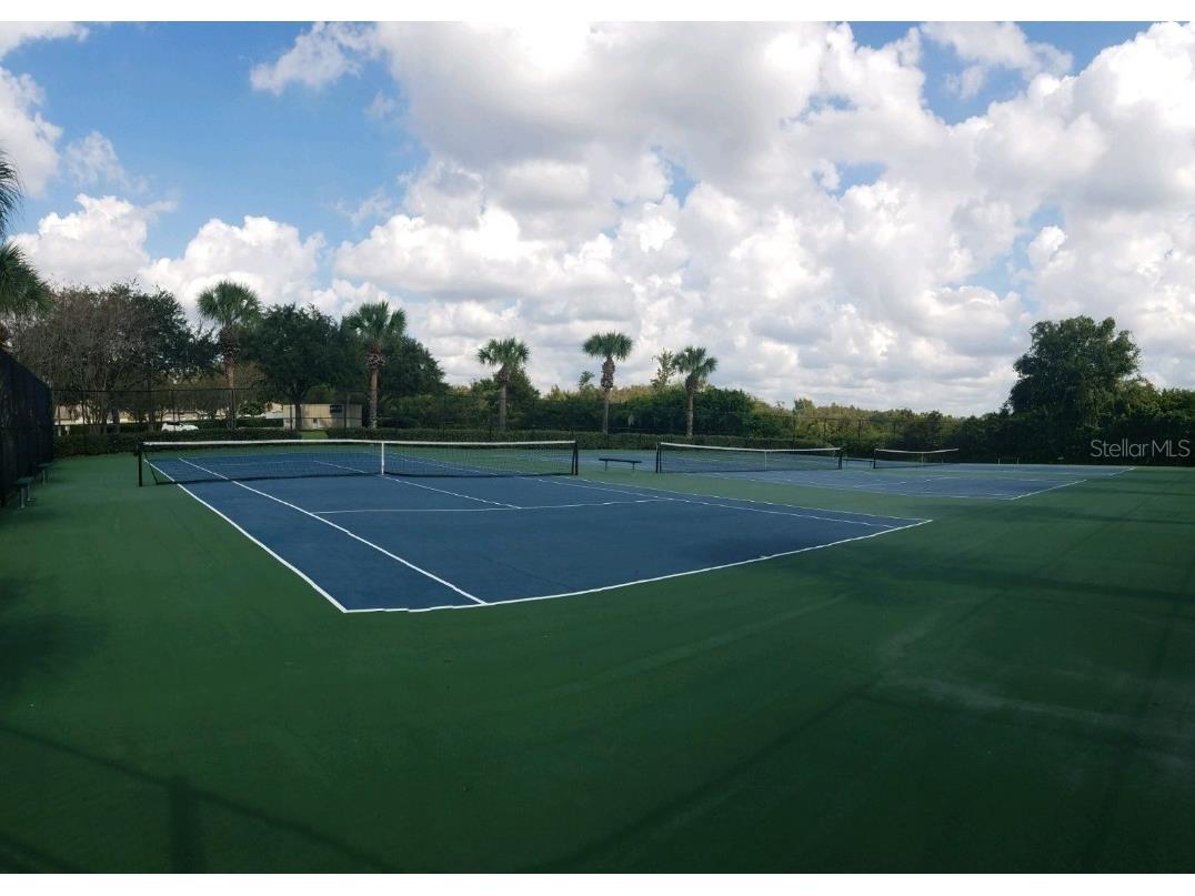 3037 Lynwood Court Land O Lakes FL 34638 TB8433002 image50