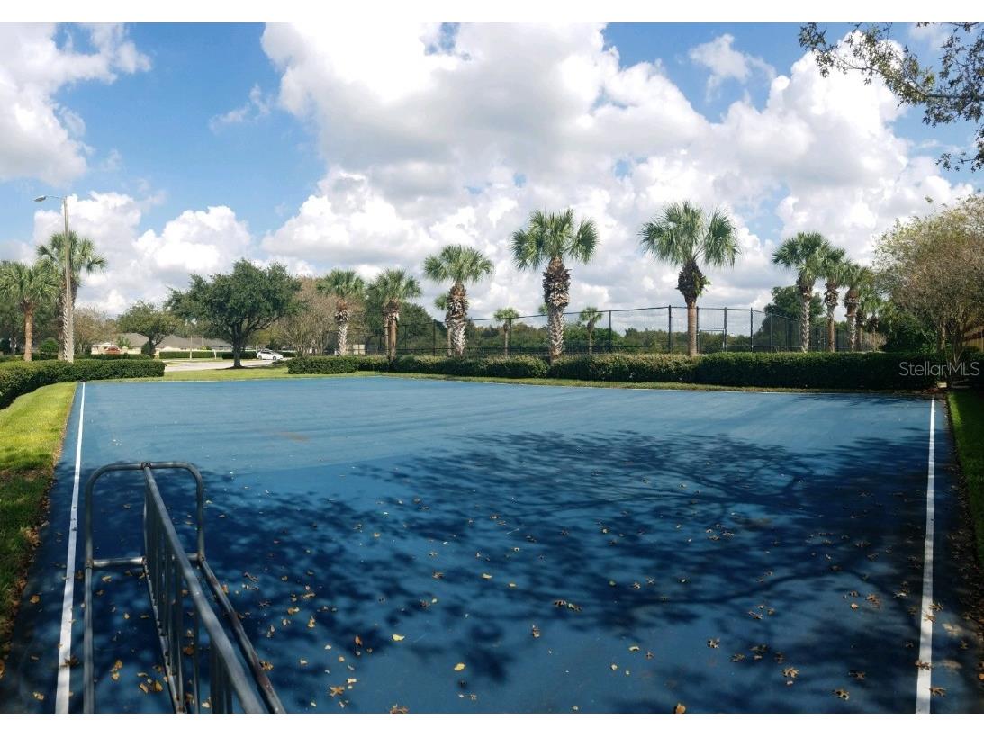 3037 Lynwood Court Land O Lakes FL 34638 TB8433002 image51