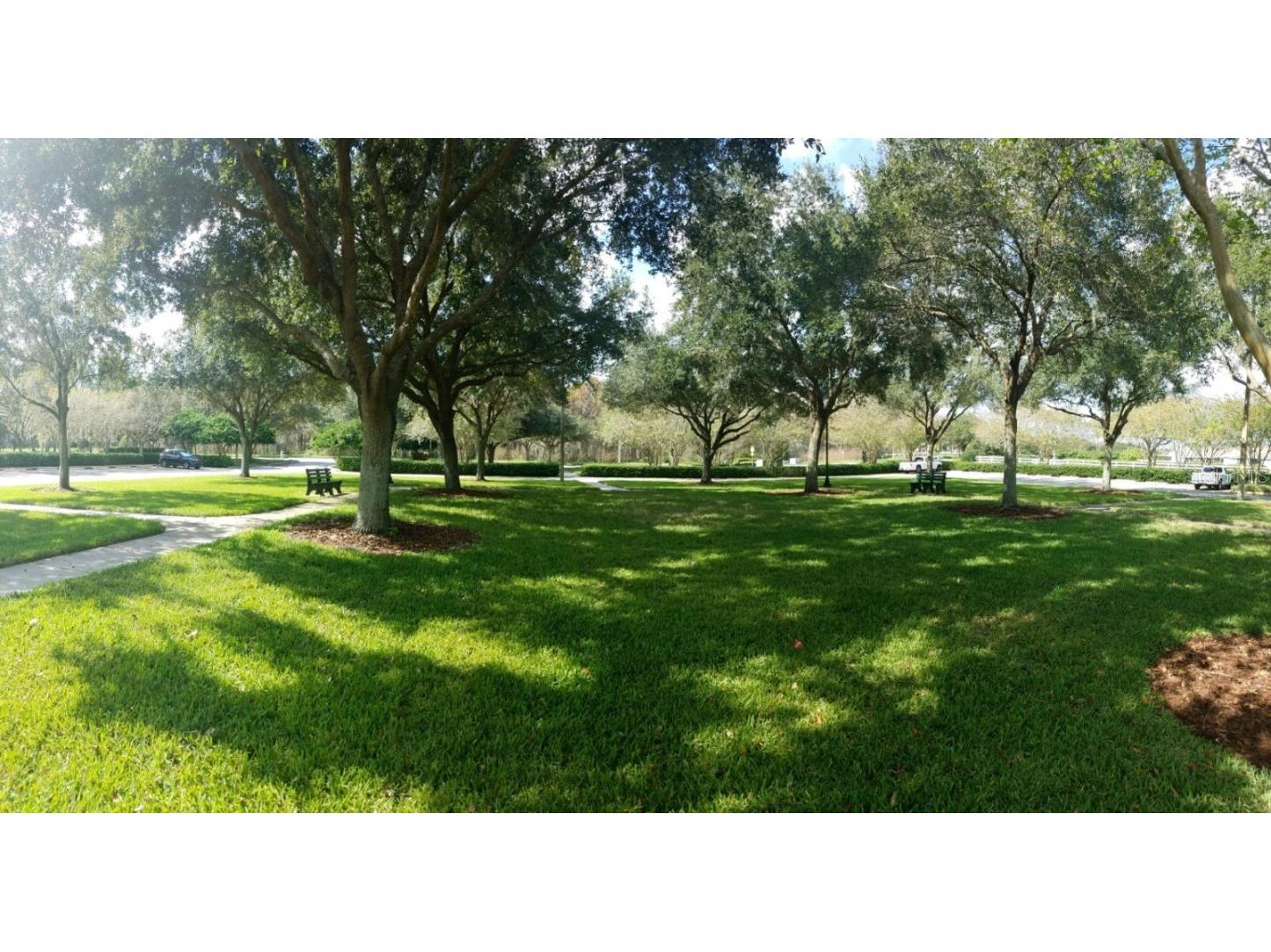 3037 Lynwood Court Land O Lakes FL 34638 TB8433002 image52