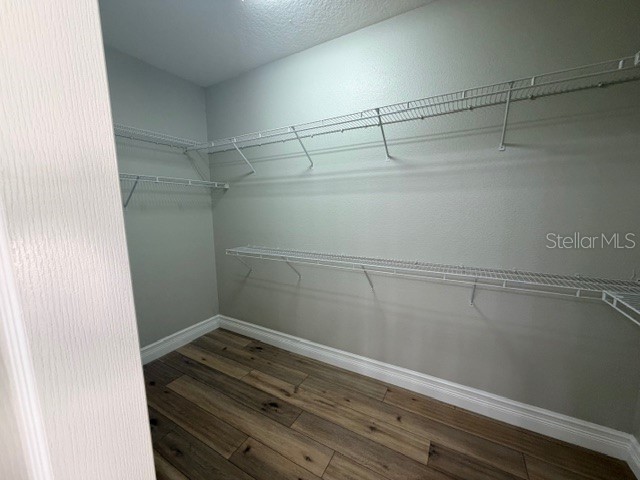 3038 Alachua Place New Port Richey FL 34655 TB8513628 image22