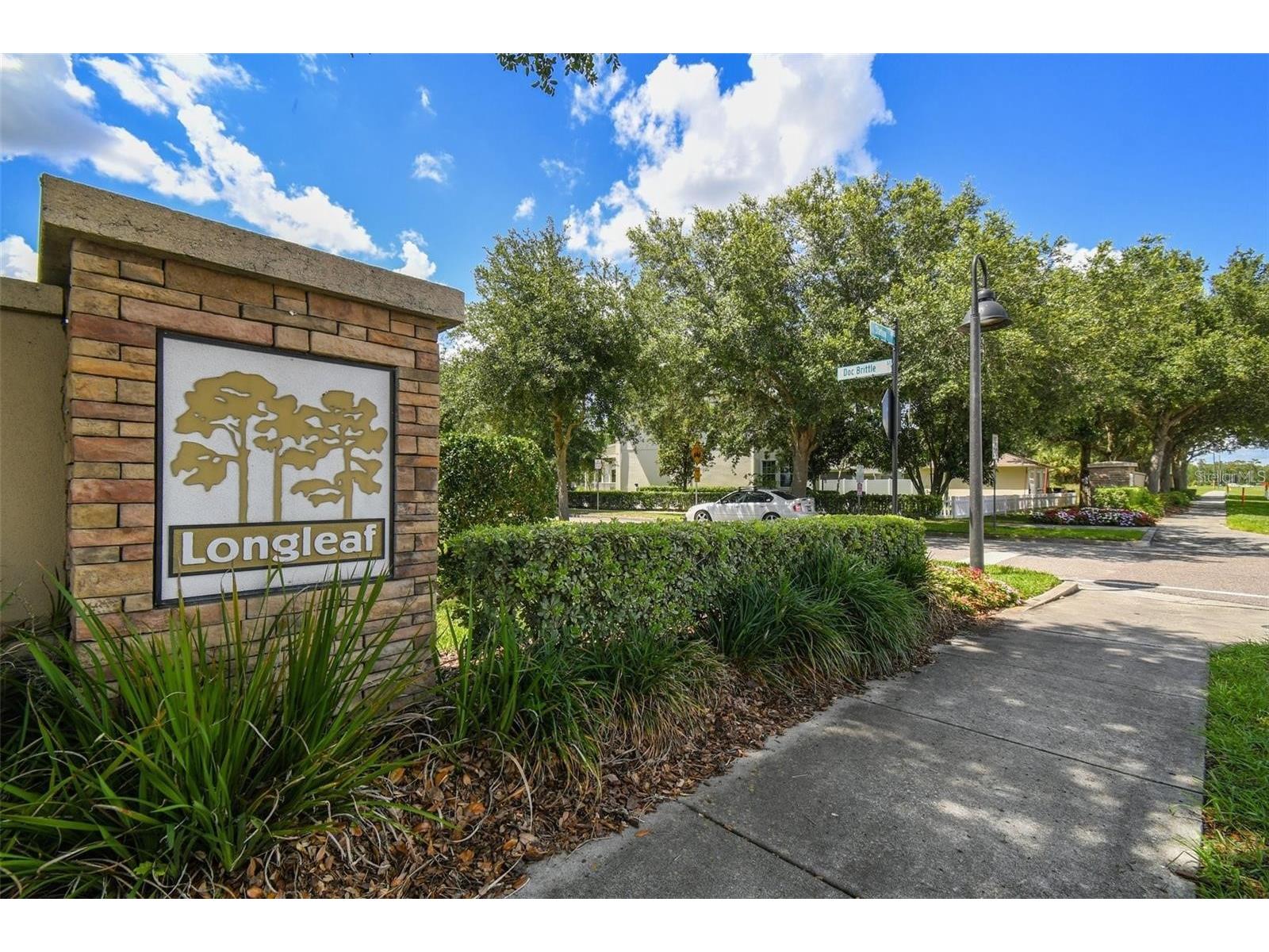 3038 Alachua Place New Port Richey FL 34655 TB8513628 image31