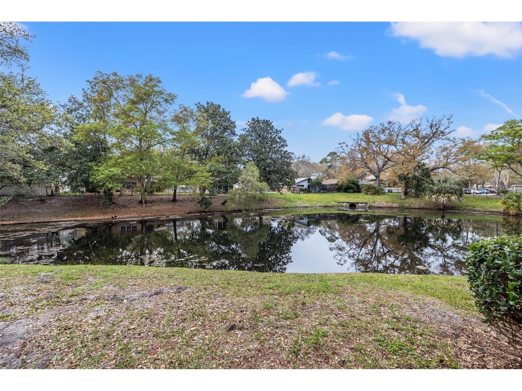 3038 Eastland Boulevard #F101 Clearwater FL 33761 W7883159 image2