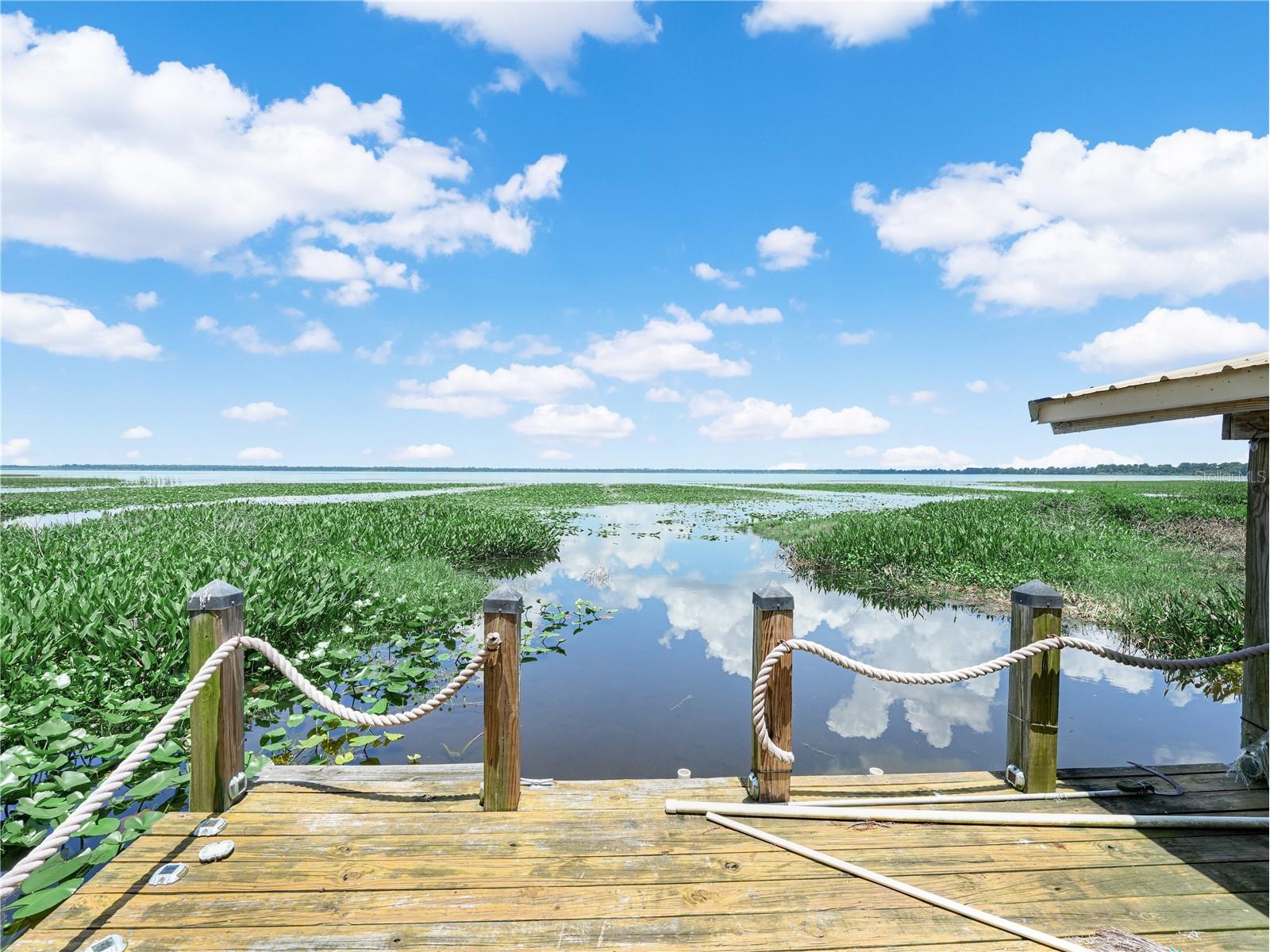 3038 Shady Wood Lane Lake Wales FL 33898 P4939267 image3