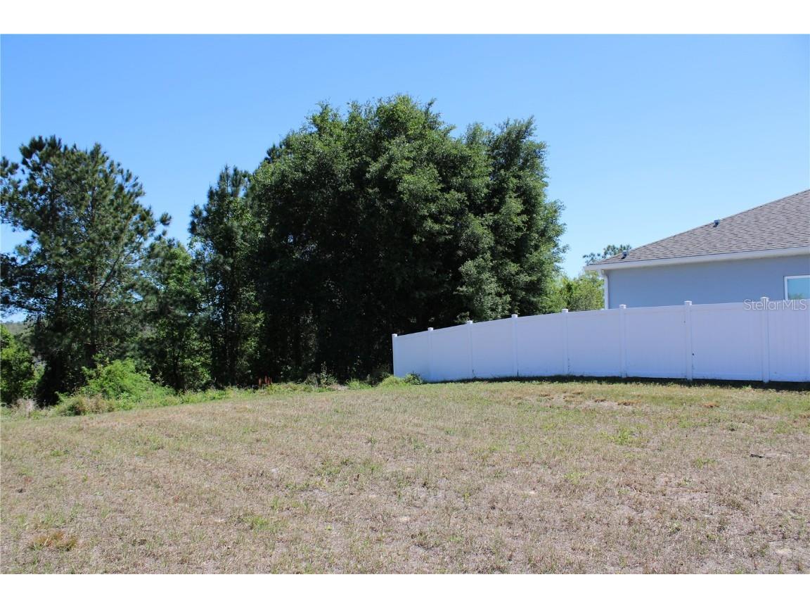 3038 Sunscape Terrace Groveland FL 34736 O6099095 image1