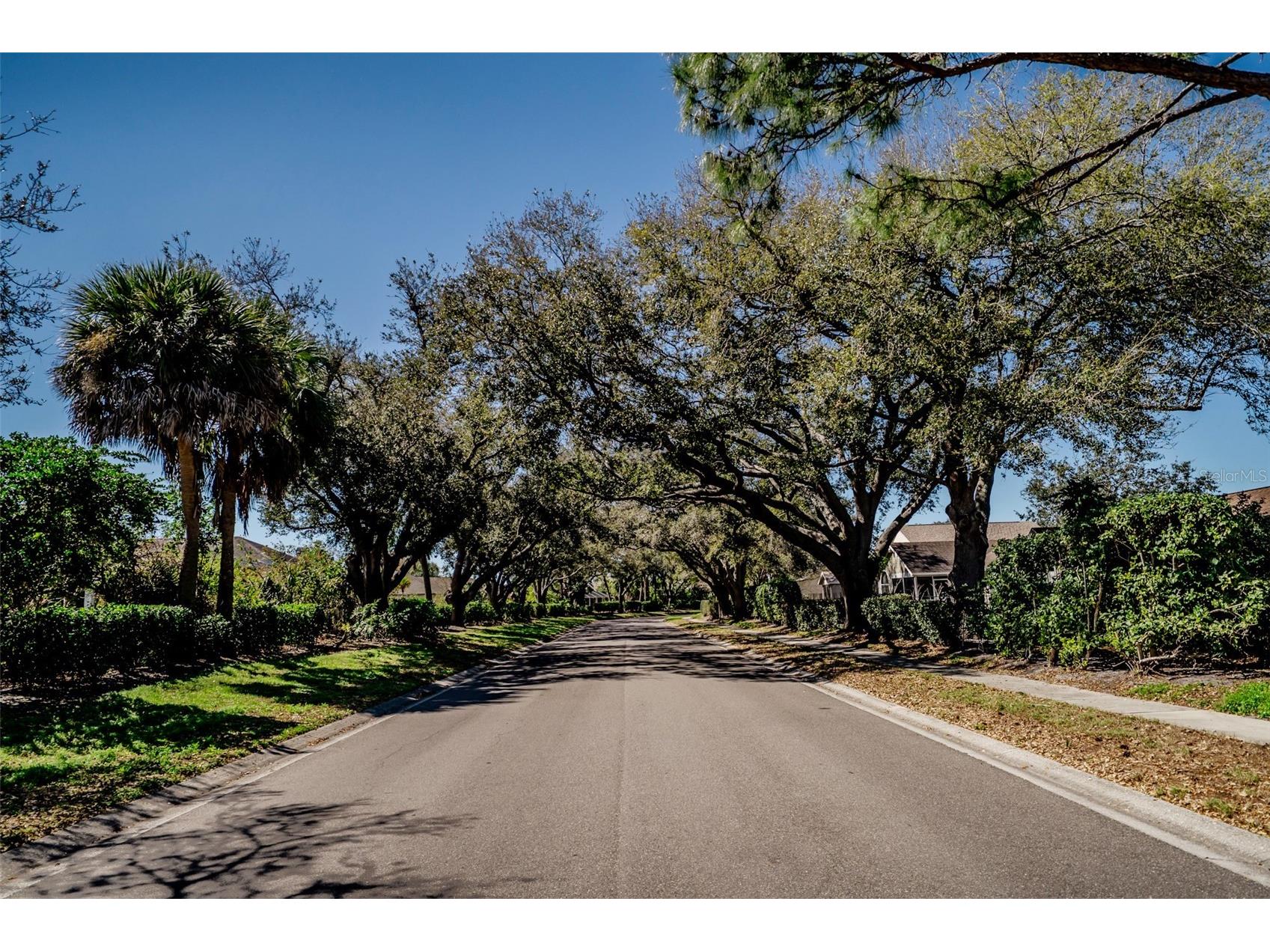 3039 58th Terrace E Bradenton FL 34203 A4684671 image41