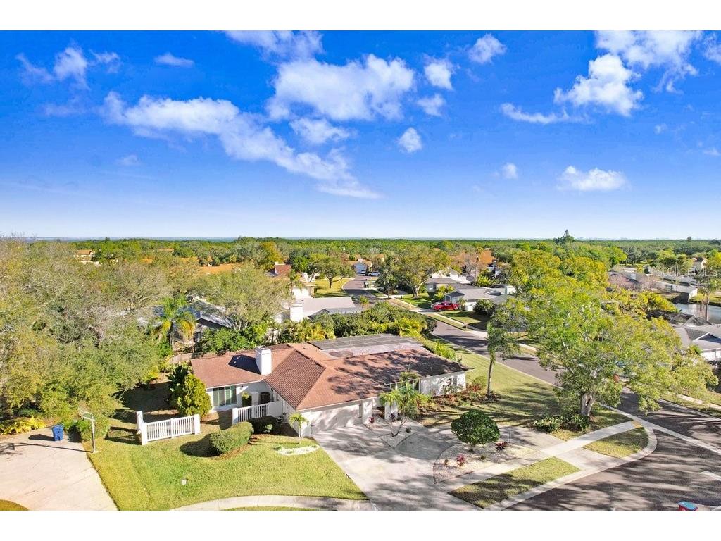3039 Sandpiper Court Clearwater FL 33762 TB8466685 image35