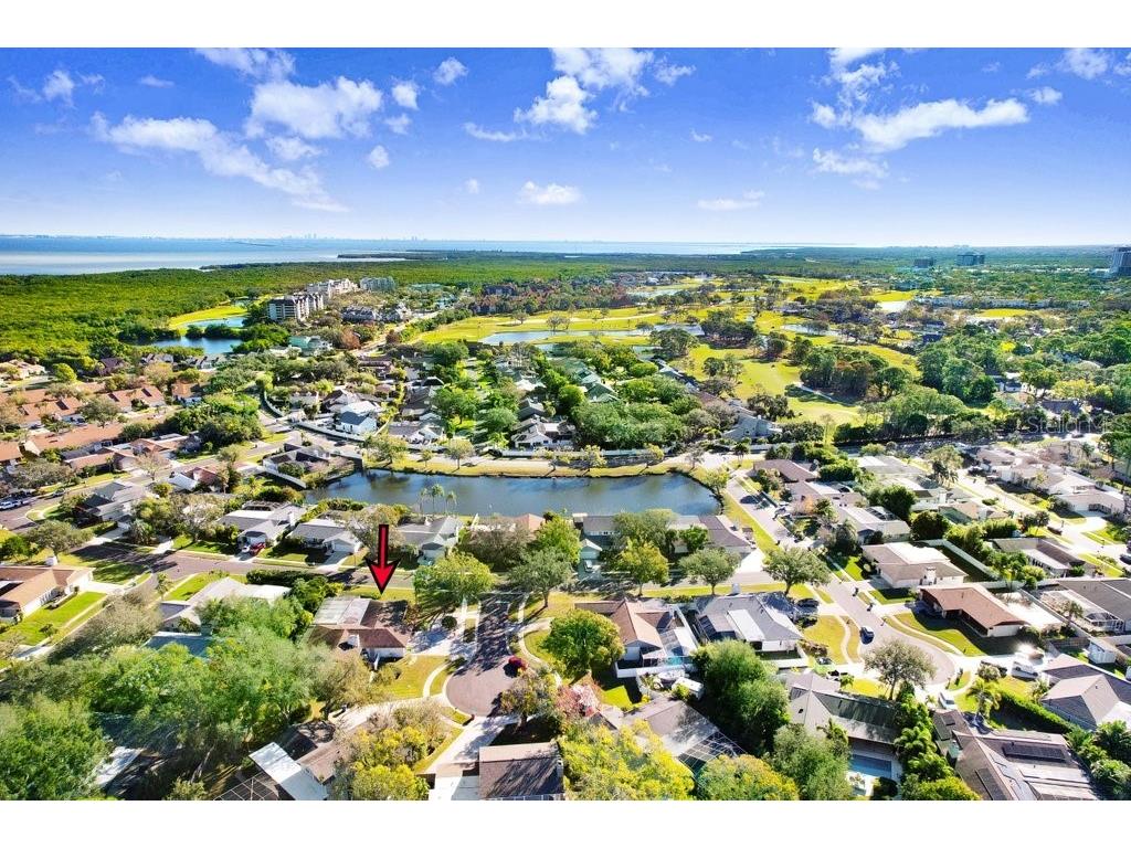 3039 Sandpiper Court Clearwater FL 33762 TB8466685 image37