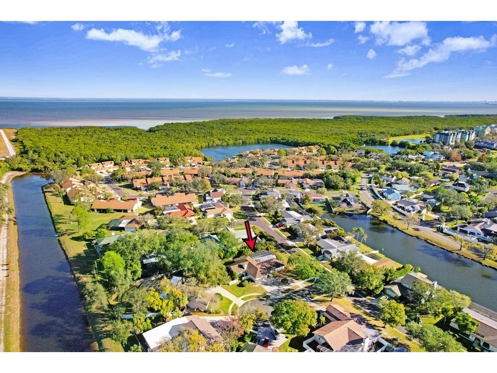 3039 Sandpiper Court Clearwater FL 33762 TB8466685 image38