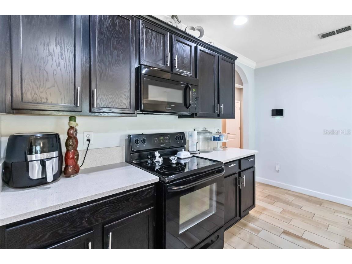 3039 Sangria Street Kissimmee FL 34743 O6359790 image13