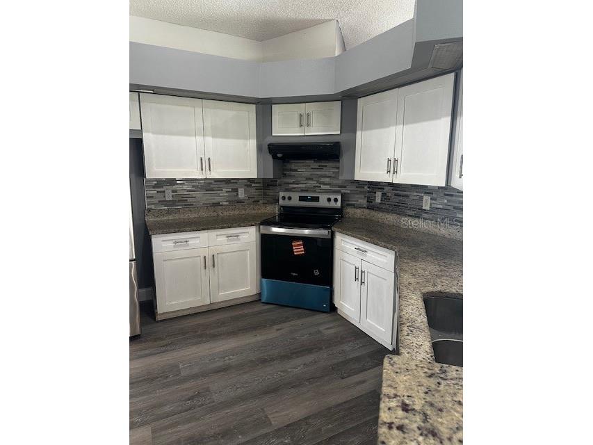 3039 Stillwater Drive Kissimmee FL 34743 S5149457 image3