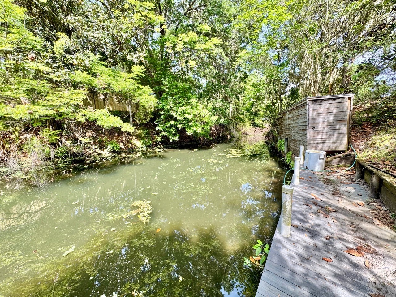 30391 NE 97th Place Salt Springs FL 32134 - Lake George OM725020 image2