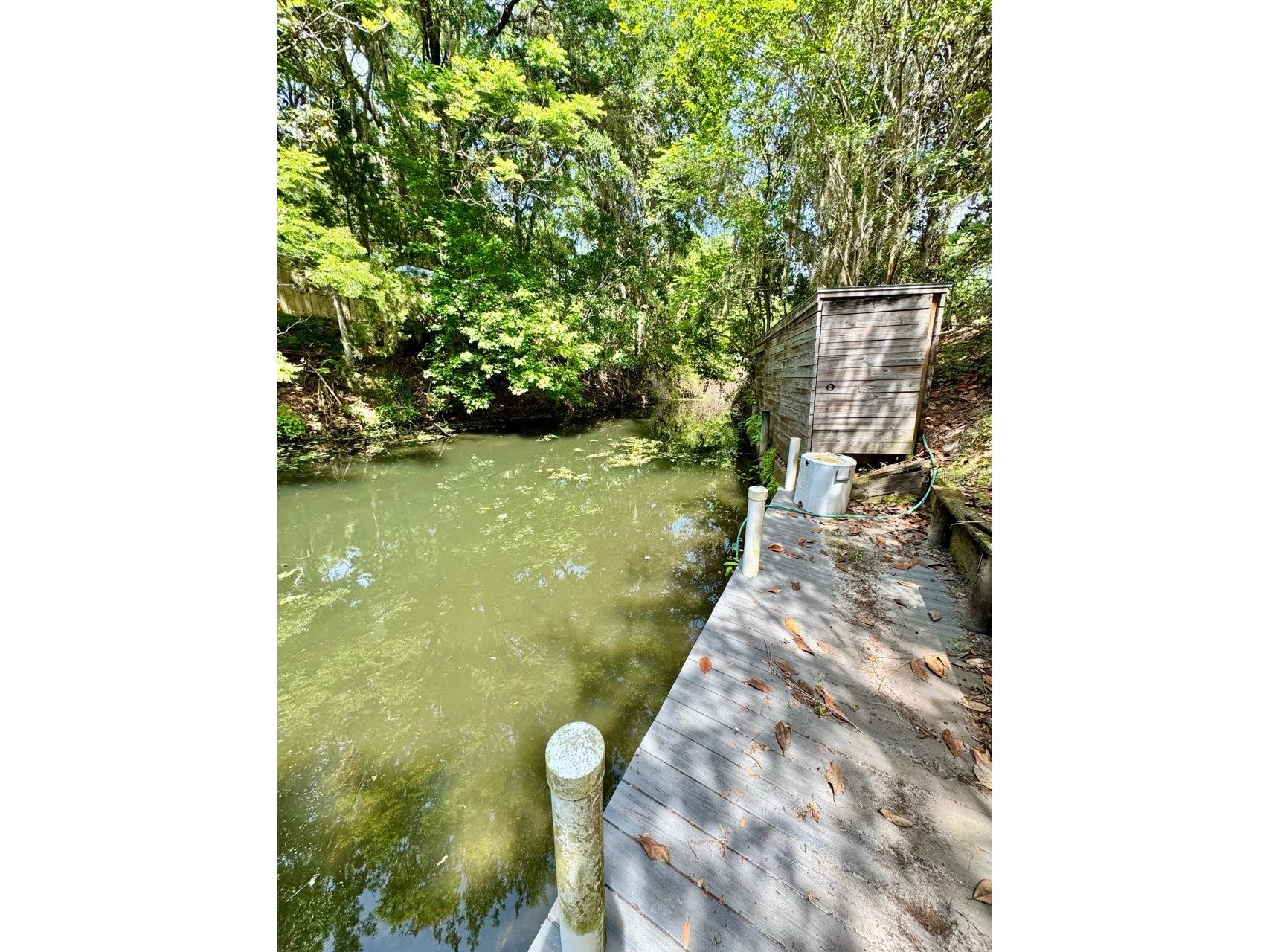 30391 NE 97th Place Salt Springs FL 32134 - Lake George OM725020 image3