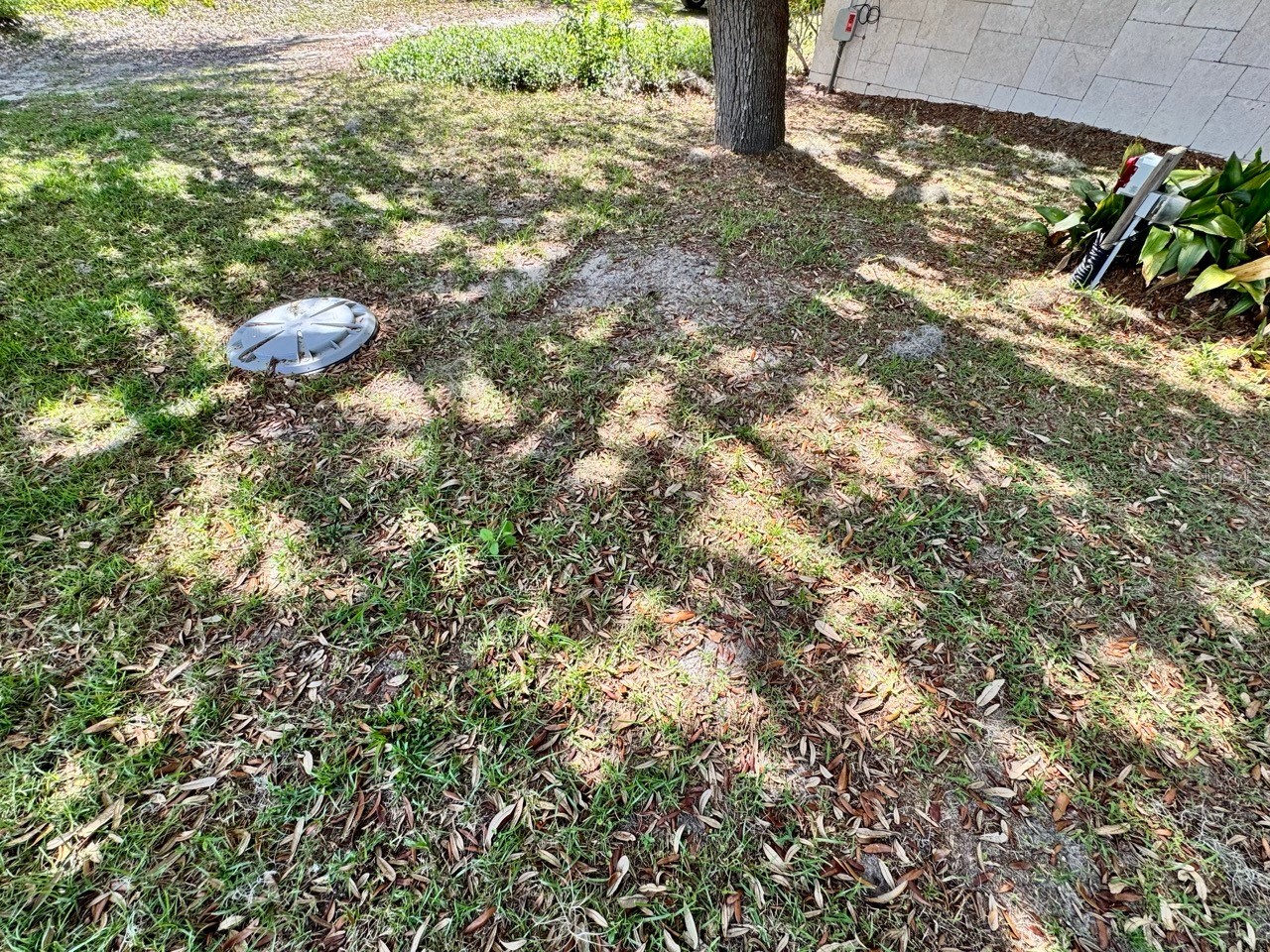 30391 NE 97th Place Salt Springs FL 32134 - Lake George OM725020 image37