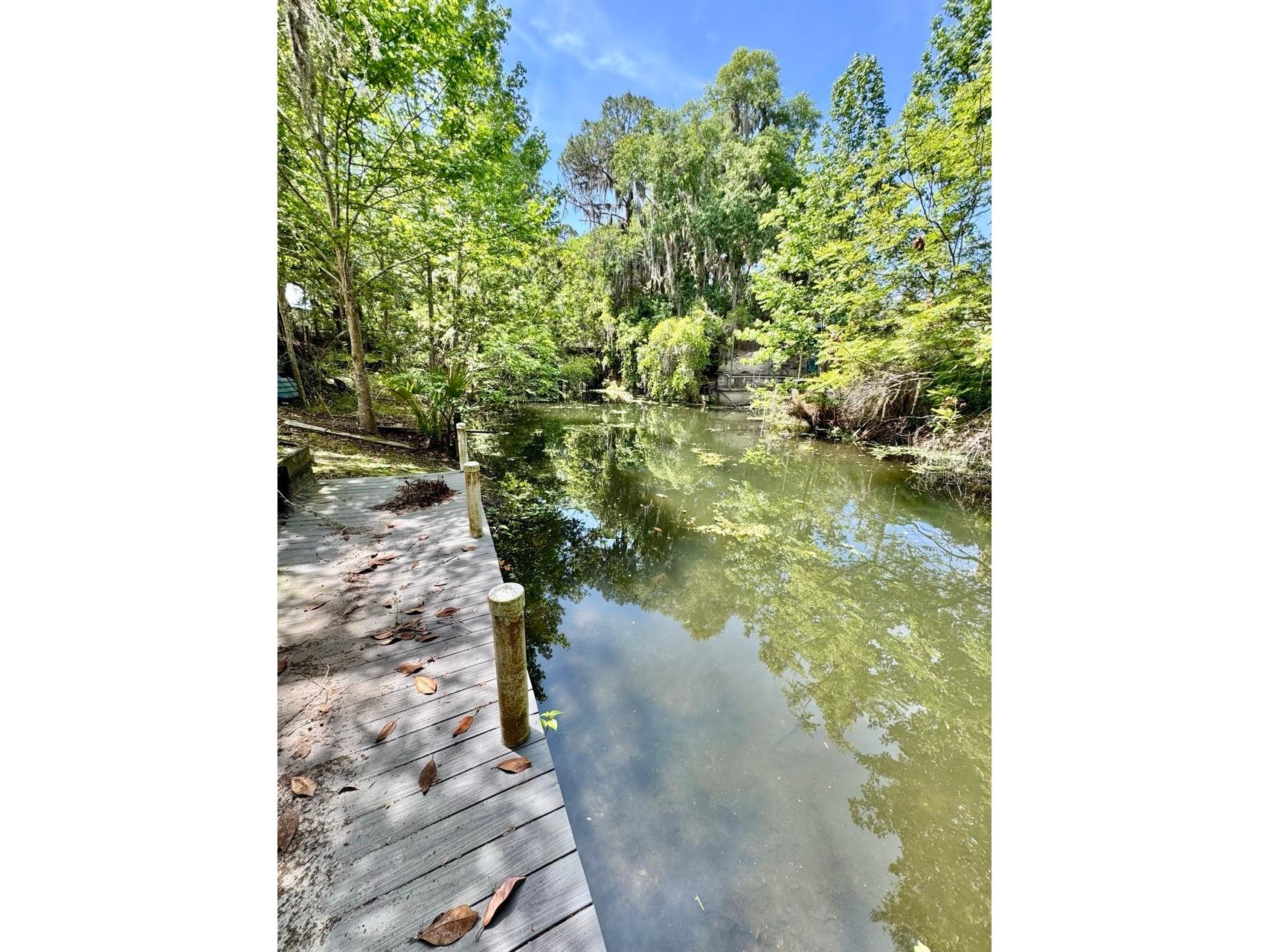 30391 NE 97th Place Salt Springs FL 32134 - Lake George OM725020 image4
