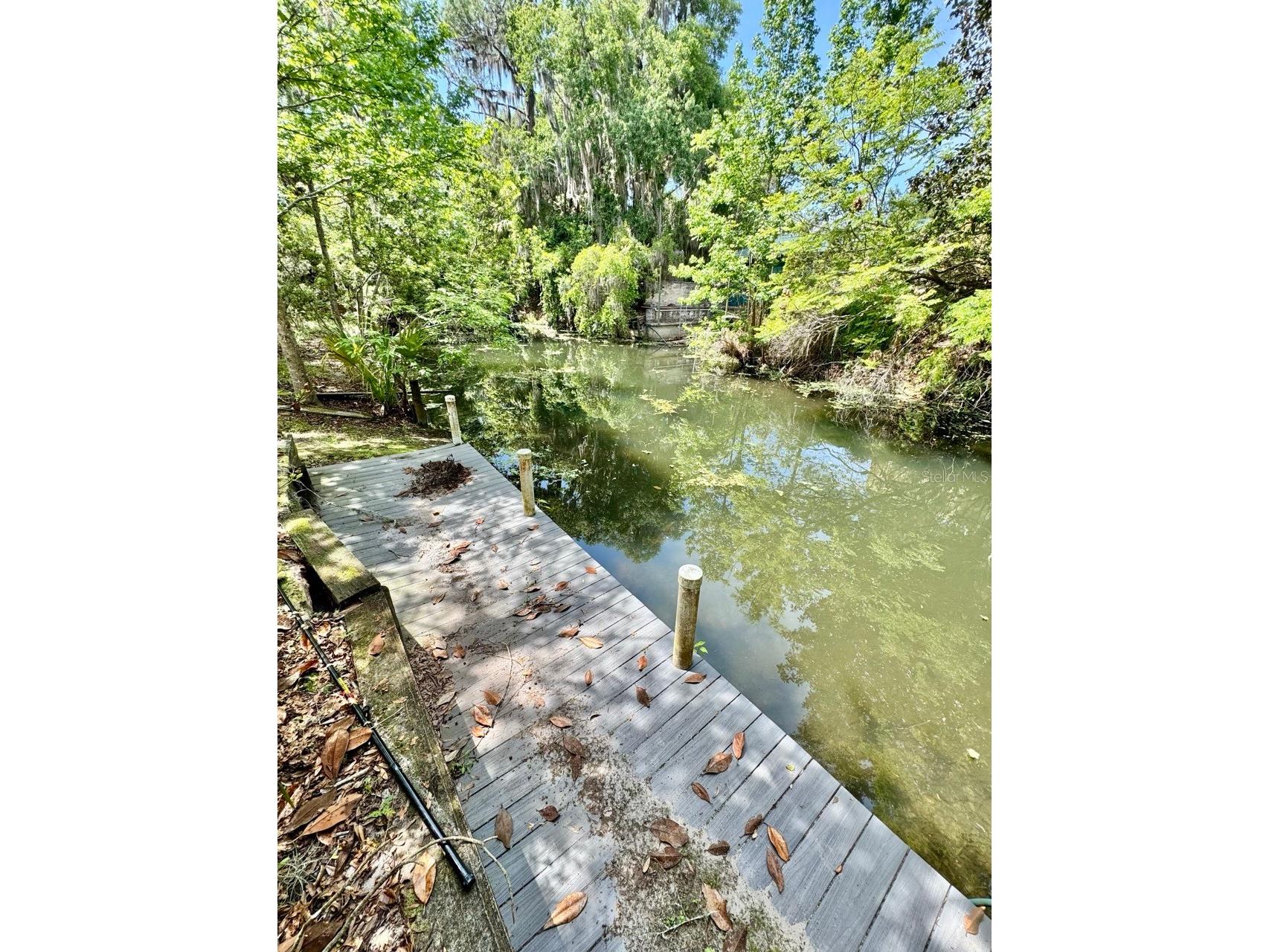 30391 NE 97th Place Salt Springs FL 32134 - Lake George OM725020 image5