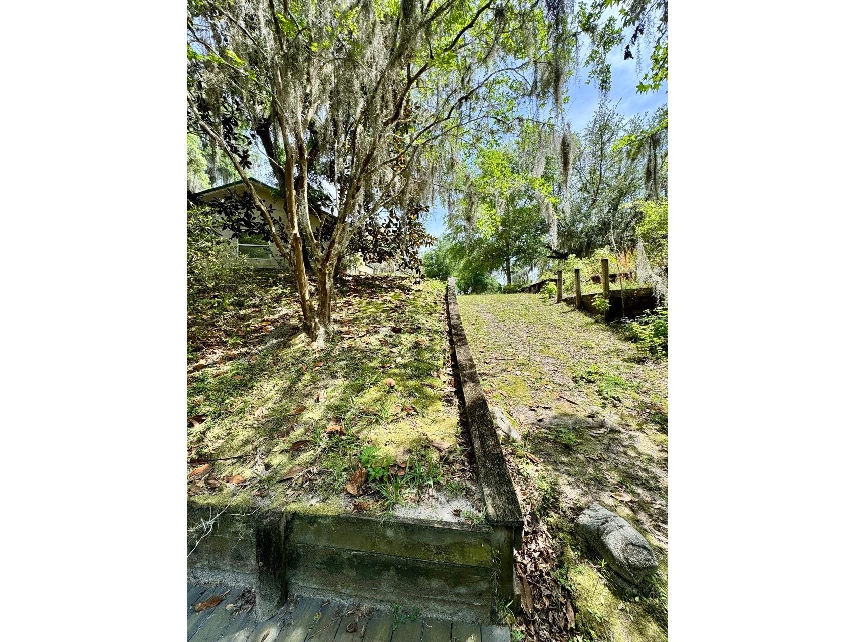30391 NE 97th Place Salt Springs FL 32134 - Lake George OM725020 image6
