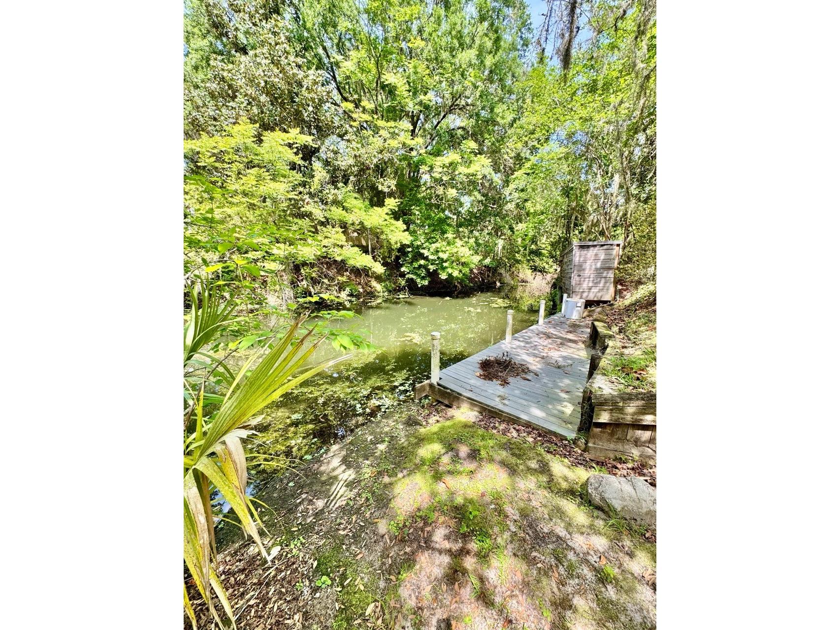 30391 NE 97th Place Salt Springs FL 32134 - Lake George OM725020 image7