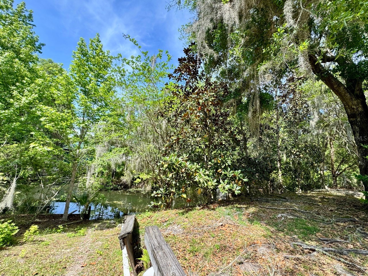 30391 NE 97th Place Salt Springs FL 32134 - Lake George OM725020 image8